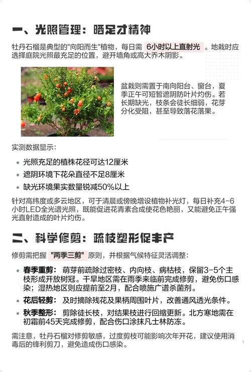 石榴花怎么养殖方法:从浇水到越冬的家庭养护全攻略 石榴花怎么养殖方法:从浇水到越冬的家庭养护全攻略
