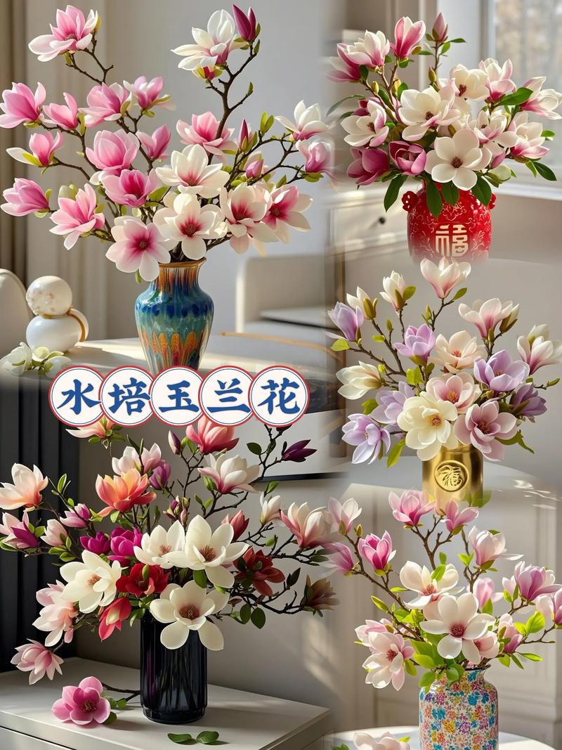 玉兰花苞能不能养到开花?修剪时机与水培温度是关键 玉兰花苞水培失败的常见原因与对策