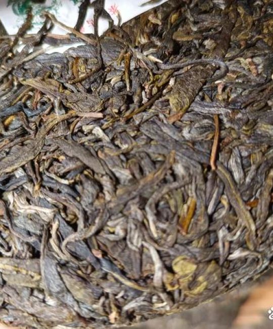 坝糯古树茶什么档次？景迈山核心产区古树茶深度解析
