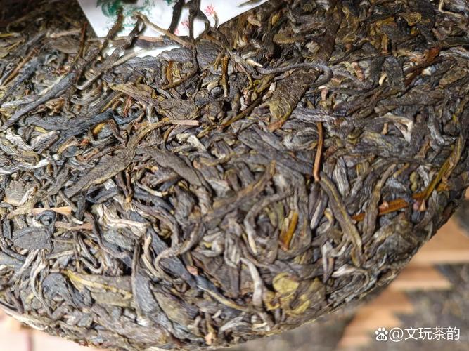坝糯古树茶什么档次?景迈山核心产区古树茶深度解析 坝糯古树茶什么档次?景迈山核心产区古树茶深度解析