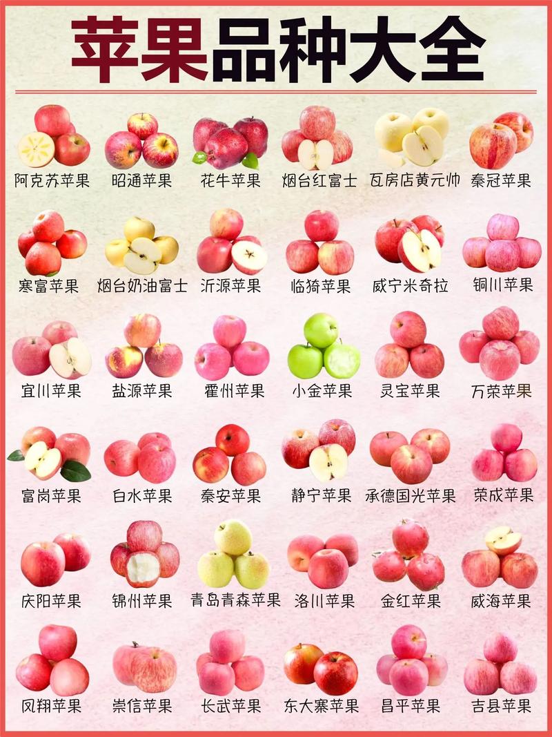 红富士与嘎啦苹果全对比:家庭种植选哪个? 红富士与嘎啦苹果全对比:家庭种植选哪个?