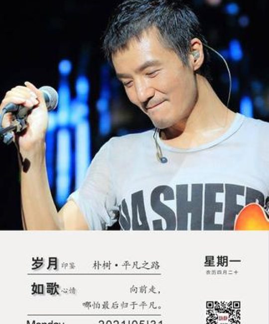 行道树与庭院乔木选购移栽全指南：树形、遮荫、规格、支撑修剪