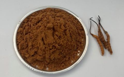 虫草打粉的颜色特点与品质鉴别指南