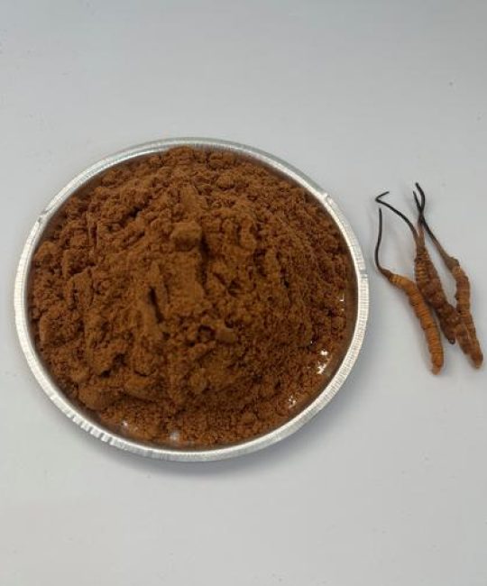 虫草打粉的颜色特点与品质鉴别指南