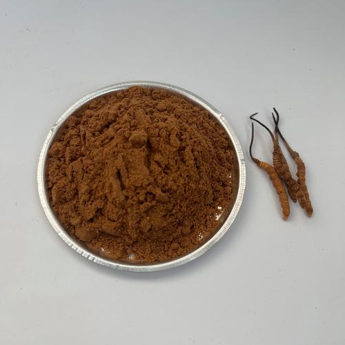 虫草打粉的颜色特点与品质鉴别指南 虫草打粉的颜色特点与品质鉴别指南