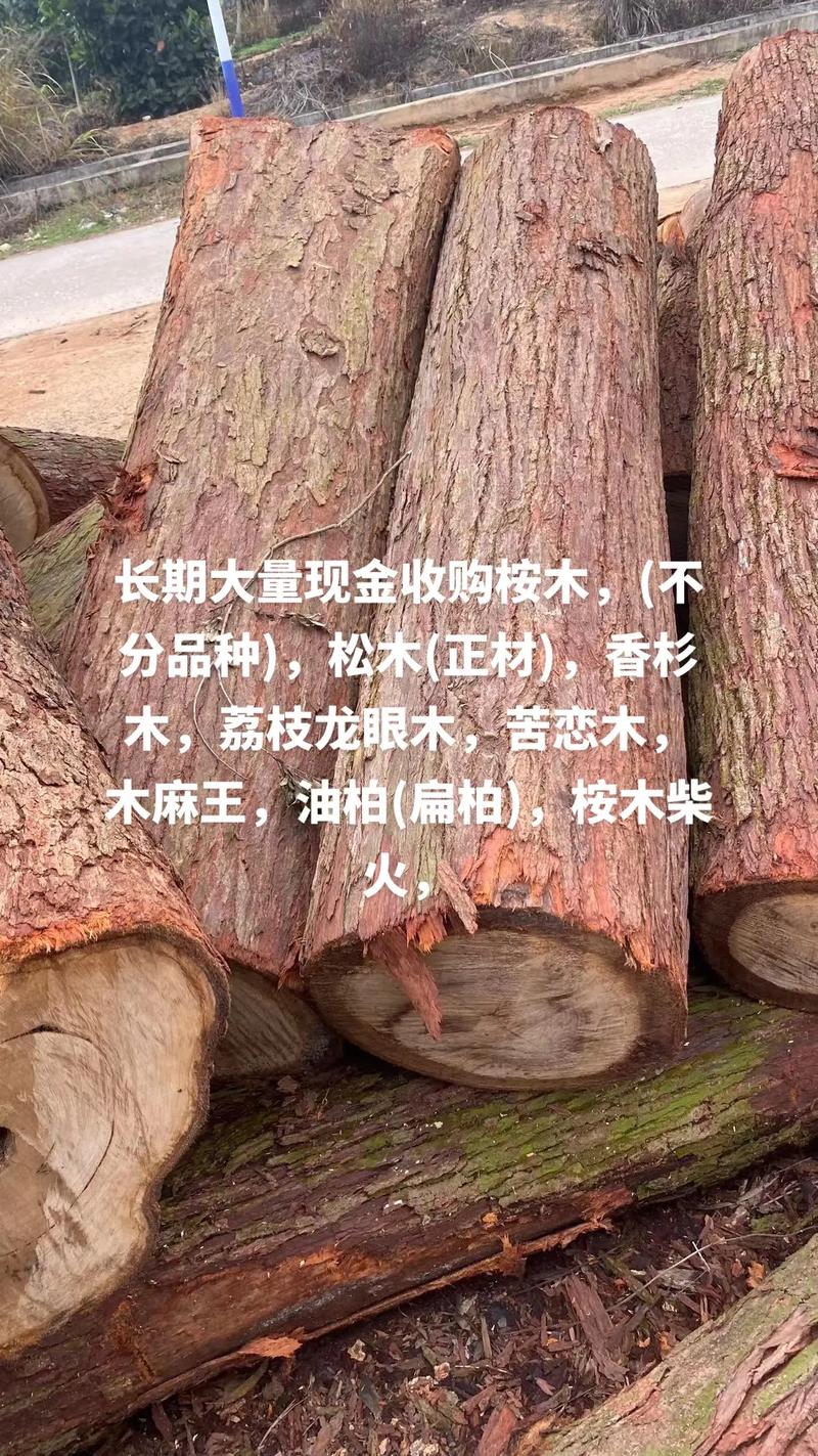 松木与香杉木在园艺中的应用对比:哪种更适合你的花园? 七、园艺应用场景建议