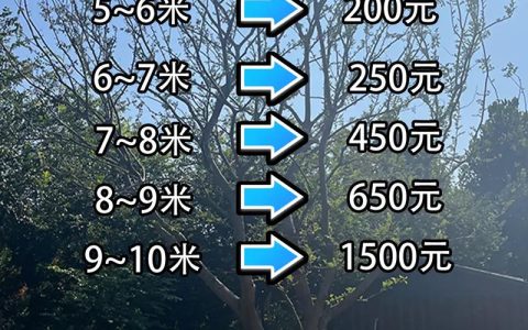 丛生朴树多少钱一棵？2026年最新价格参考及影响因素解析