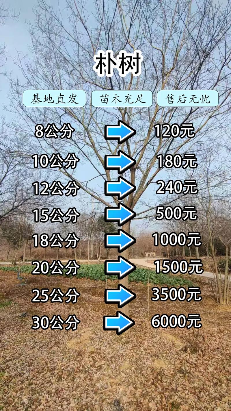 产地因素：不同区域价差可达10%-15%