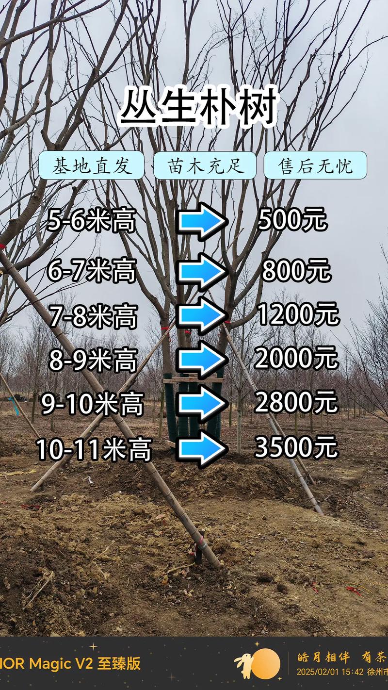 综合价格参考表