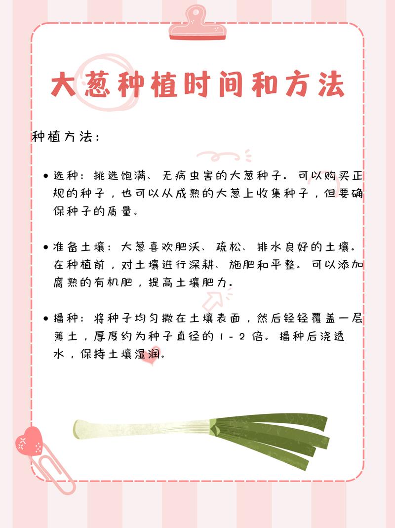 什么时间种大葱?——掌握最佳播种期,轻松种出高产大葱 三、特别注重气候分区
