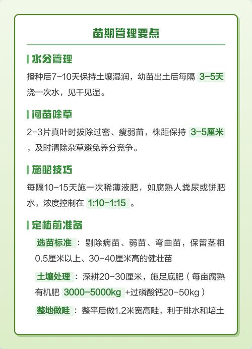 什么时间种大葱?——掌握最佳播种期,轻松种出高产大葱 六、总结