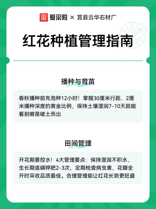 三、种子脱粒与干燥