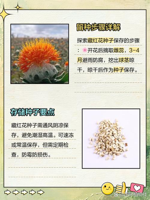 六、常见问题解答