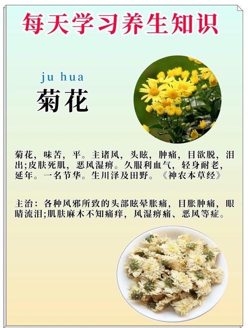 修剪促花系统指导：分季节、分品种
