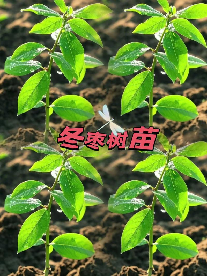 运输成本占比10%-30%，近距离自提最划算