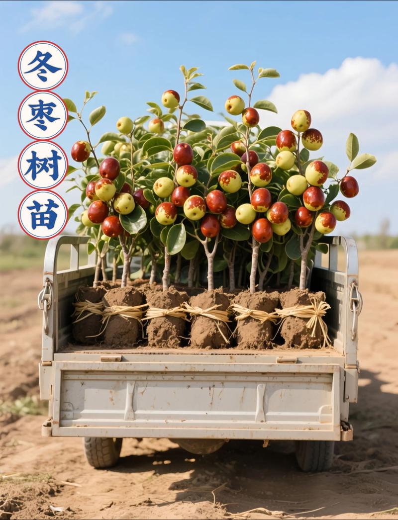 咨询指南：如何获取精准报价？