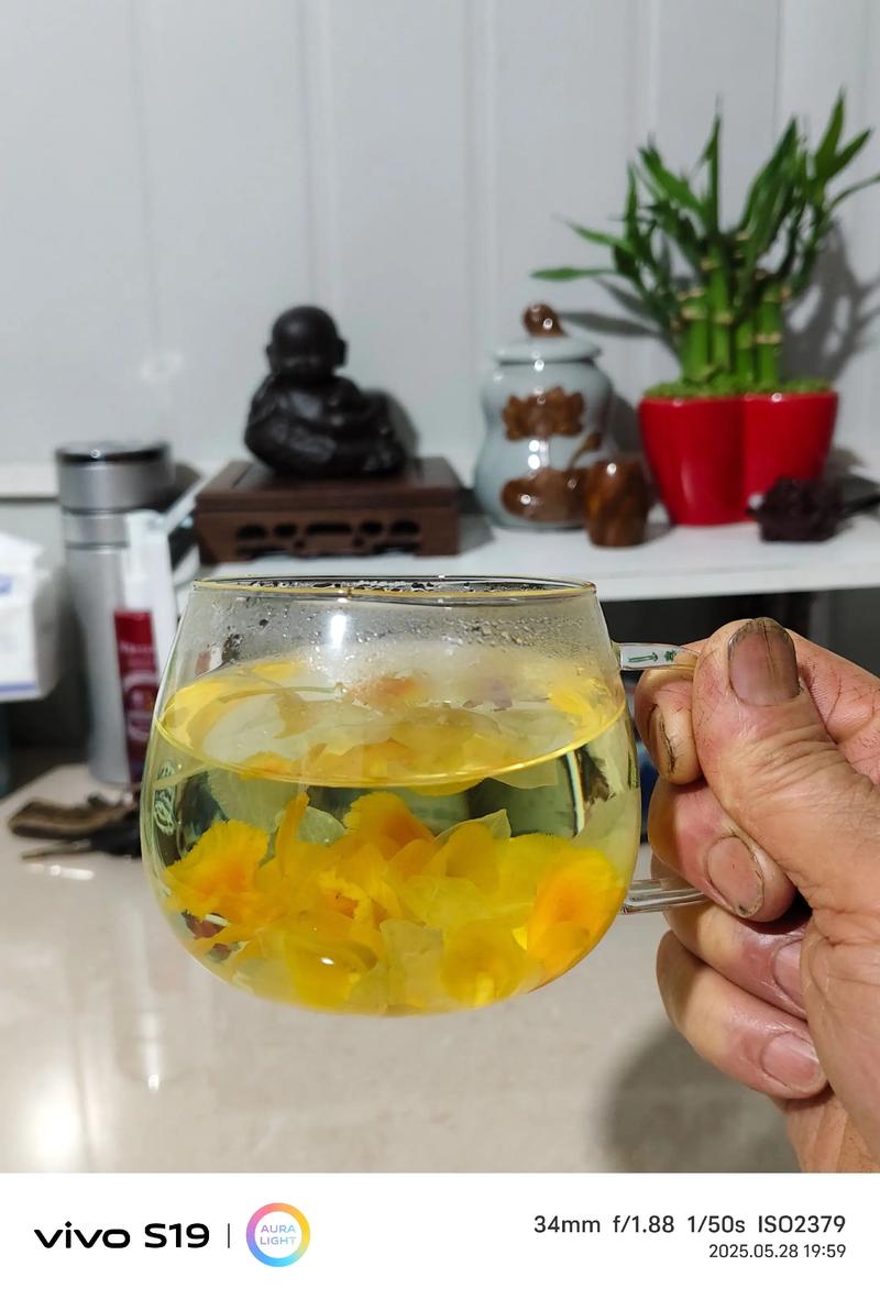 金钗石斛花适合什么人喝?——从阳台到茶杯的养生之选 家庭盆栽金钗石斛要点