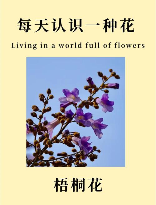 梧桐树开花季节与行道树应用全解析:树形、遮荫与移栽管理 支撑固定系统方案
