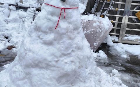 雪花有时候像什么有时候像什么