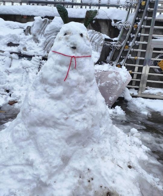雪花有时候像什么有时候像什么