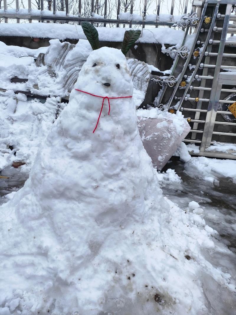 雪花有时候像什么有时候像什么 雪落枝头,像极了春天的梨花