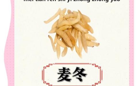麦冬的功效及作用：药食同源的养阴良药，安全食用指南