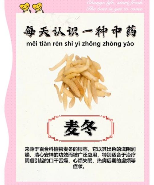 麦冬的功效及作用：药食同源的养阴良药，安全食用指南
