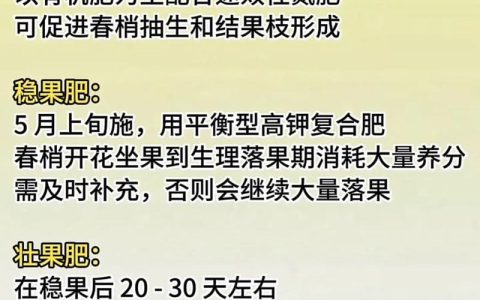 柑橘小苗施肥核心是“一梢两肥”，定植后第一年追肥4次，每次每株30-50克高氮复合肥