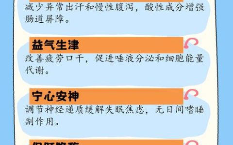 五味子作用与功效：药食同源的中药材科普