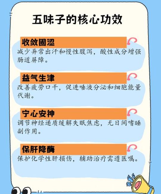 五味子作用与功效：药食同源的中药材科普