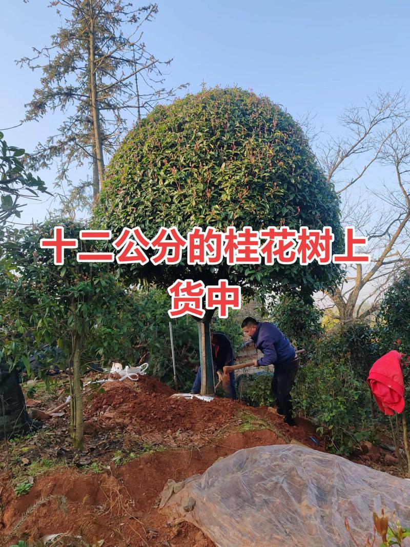 运输：物流成本占最终价的10%-30%