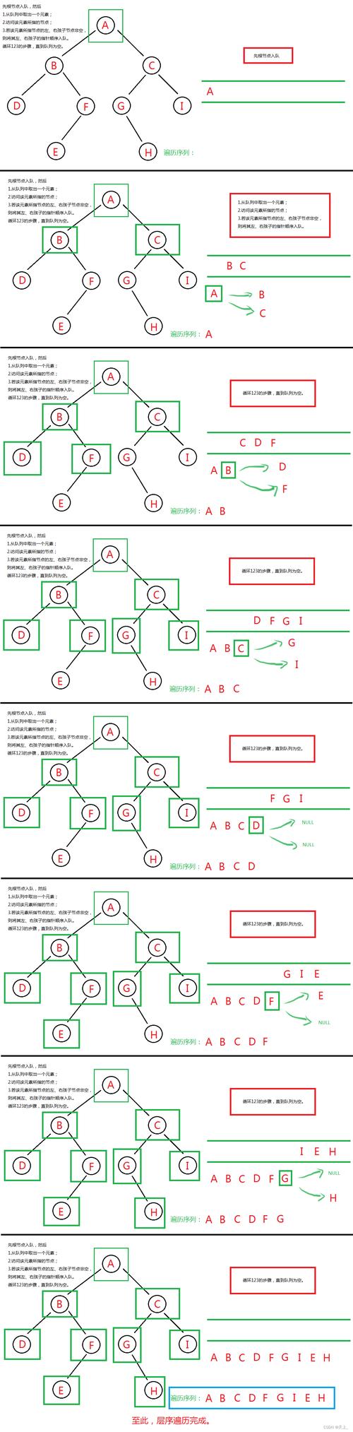 圣经中葡萄树预表什么?从神学象征到现代种植全攻略 采购葡萄苗必须执行“一看嫁接口、二看根系、三看苗龄”三重检验