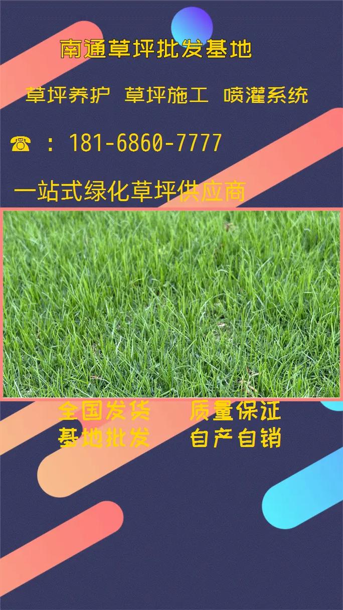 果岭草草坪多少钱一平?2025年价格区间与全方位选购指南 咨询与报价