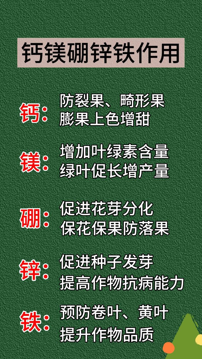 柑橘冬季施肥核心指南:选对肥料与掌握时间是来年丰产的关键 施肥种类与用量:有机肥为主,NPK配比精准