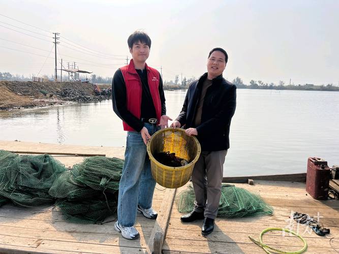 二、分阶段放苗与密度调整