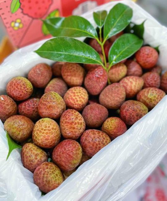 桂花香荔枝是什么品种