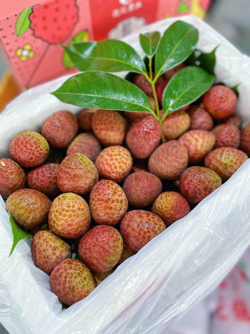 桂花香荔枝是什么品种 桂花香荔枝是什么品种