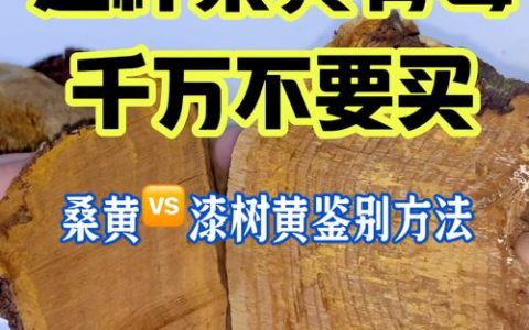 桑黄价格多少钱一斤？规格、产地、年份影响报价