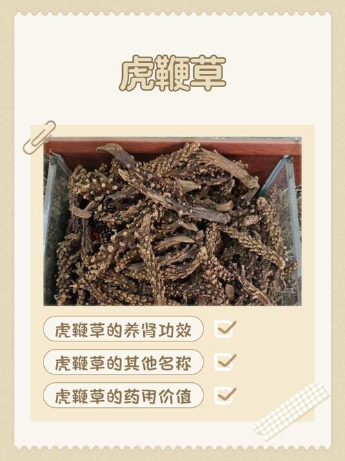 二、产地差异：道地产区溢价明显