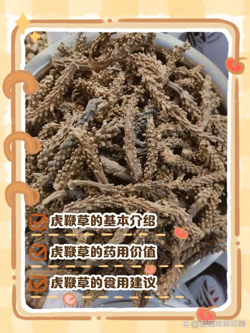 三、季节性波动：夏秋采收季价格最亲民