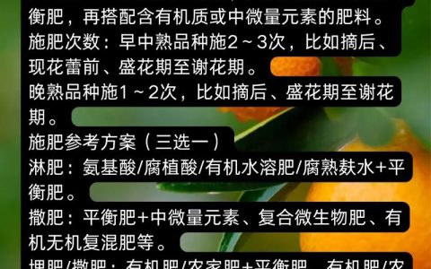 柑橘树施肥全攻略：最佳时间、施肥量及常见误区解析