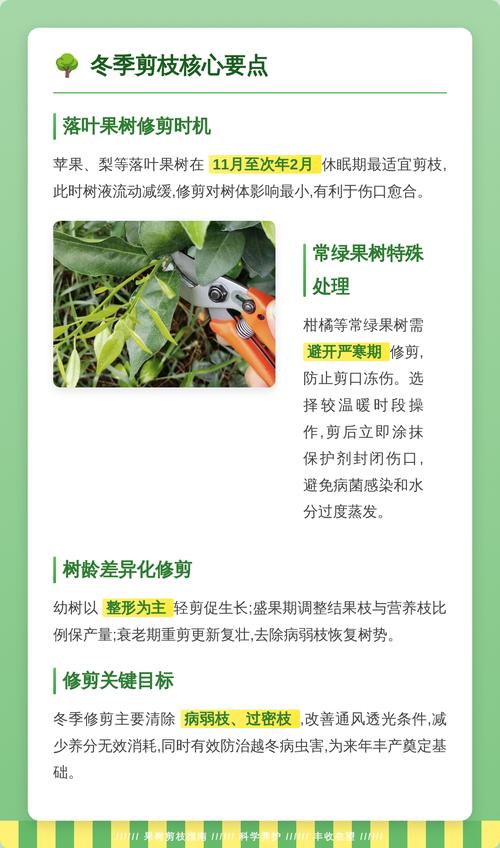 柑橘树冬季可以修剪吗?冬季修剪与养护全指南 浇水:冬季控水,以盆土偏干为原则