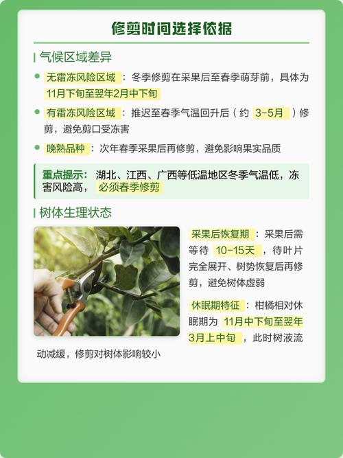 柑橘树冬季可以修剪吗?冬季修剪与养护全指南 光照:尽量多晒太阳,室内需补光