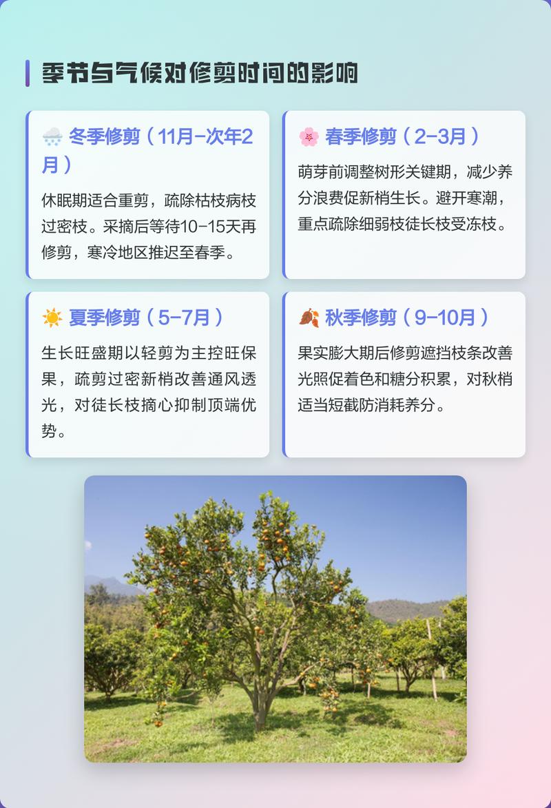 柑橘树冬季可以修剪吗?冬季修剪与养护全指南 修剪:冬季修剪可行,但需避开大寒潮和重剪