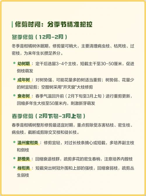 柑橘树冬季可以修剪吗?冬季修剪与养护全指南 换盆/田间管理:冬季不宜换盆,可在休眠期做浅层松土