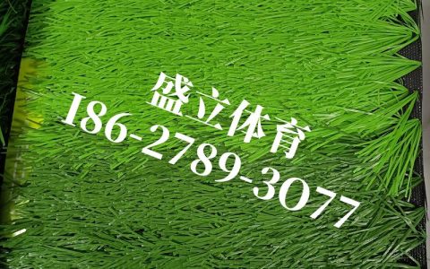 草坪多少钱一平方？影响报价的5大核心因素深度解析