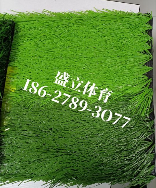 草坪多少钱一平方？影响报价的5大核心因素深度解析