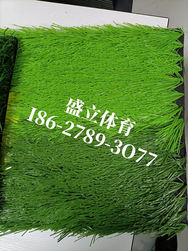 草坪多少钱一平方?影响报价的5大核心因素深度解析 草坪多少钱一平方?影响报价的5大核心因素深度解析