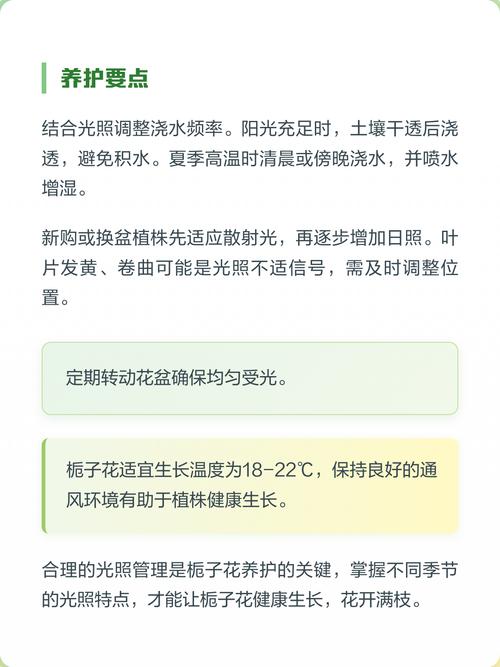 栀子花阳光直射可以吗?全面解析光照需求与养护技巧 阳光直射的利与弊