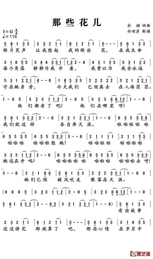 乔木大树移栽与养护全攻略(树形·遮荫·行道树·庭院) 乔木大树移栽与养护全攻略(树形·遮荫·行道树·庭院)